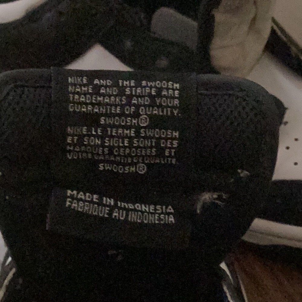 Panda dunks low - Picture 5 of 5